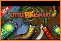 Slither Snake IO 2018 related image