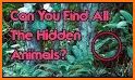 Hidden Objects related image