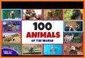 Flashcards For Toddlers: Animals related image