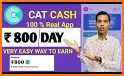 Cat Cash - money income  2022 related image