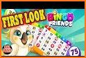 Bingo Friends - Free Bingo Games Online related image