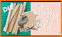 Hamster Picnic related image