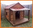 Creative Dog House Design related image