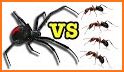 Bug Battle related image