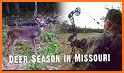 Archery Deer Hunting 2019 related image