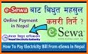 Nepal Electricity Authority ( NEA ) related image