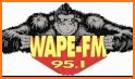 95.1 WAPE Jacksonville related image