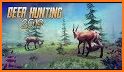 Tiger hunting 2019 : Deer Hunter 19 related image