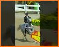 Horse Jump related image