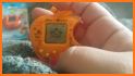 Catgotchi: Virtual Pet related image