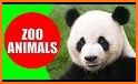 Zoo Animals related image