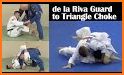 Non-Stop BJJ de la Riva Guard related image