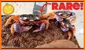 Halloween Crab Escape related image