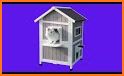 Cat House related image