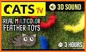 Cat Toy 2 - Games for Cats related image