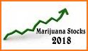 MarijuanaStocks related image