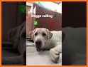 funny pups video call Phone related image