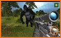 Monster Gorilla Hunter – Sniper Shooting Game related image