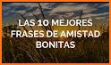 frases de amistad bonitas related image