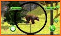 Wild Dino Hunt :Wild Animal Hunting Shooting Games related image