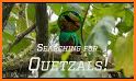 Quetzal Insta DP related image