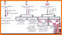 Anemia Algorithm related image