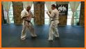 Kyokushin - Leg Techniques related image