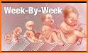 Pregnancy Stages Week by Week Guide related image