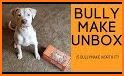 Bullybox related image