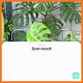 NatureSN- Plant Identifier App related image