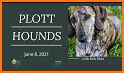 Plot Hound V6 related image