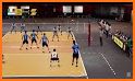 Volleyball 3D Offline Sim Game related image