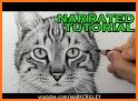 How To Draw Cats related image