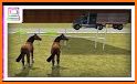 Wild Horse Zoo Transport Truck Simulator Game 2018 related image