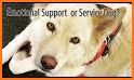 TheraPetic | Service Dog / ESA Support Animal related image