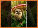 Mushroom Forest Launcher Theme related image