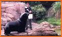 Bronx Zoo - ZooMap related image