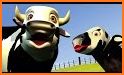 MY COW IS CALLED LOLA related image