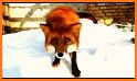 Fox Camera related image