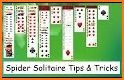 Spider Solitaire King related image