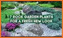 Rock Garden related image