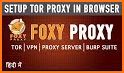 Tuber VPN Proxy related image