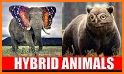 Hybird Animals Run related image