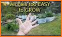 Grow Garden related image