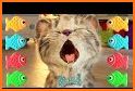 Preschool Learning: Fun Educational Games for Kids related image