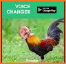 Voice Changer Boy To Girl & Audio Effects Recorder related image