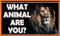 What animal are you? Personality test related image