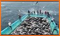 Chinese Fishing related image