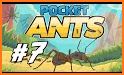 Win at Pocket Ants Simulator related image