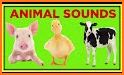 Baby Tap Animal Sounds related image